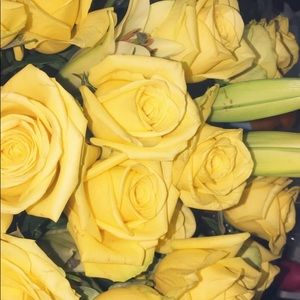 Meet your Posher, Sheyla